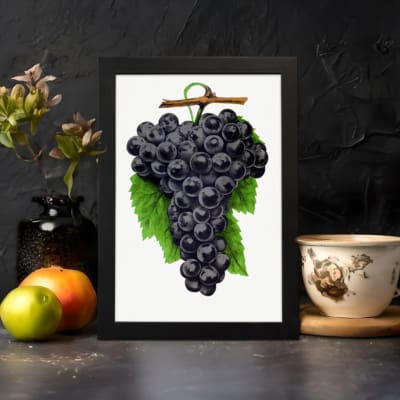 Vintage wall art print of dark purple grapes with green leaves on a white background. displayed on the wall