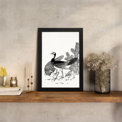 Black and white vintage illustration of two peacocks standing near plants with detailed linework and shading. displayed on the wall