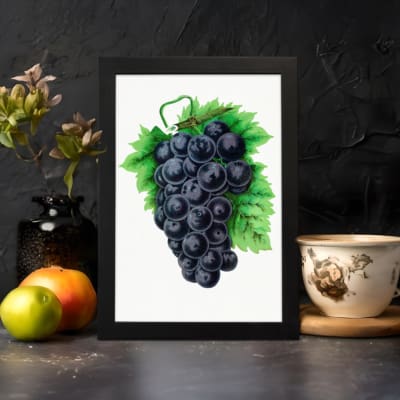 Vintage wall art of dark purple grapes with green leaves on a white background. displayed on the wall