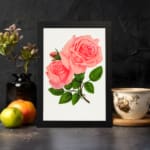 Vintage pink rose wall art with two full-bloom roses and green leaves on white background. displayed on the wall