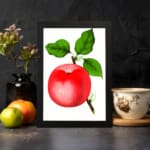 Vintage red apple wall art with green leaves on a white background. displayed on the wall