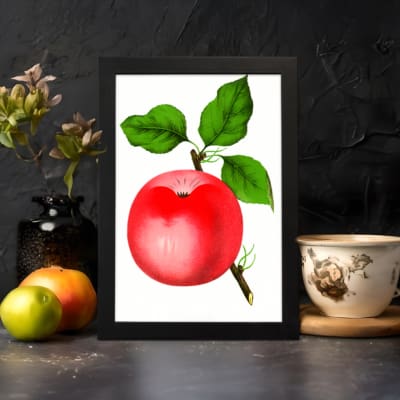 Vintage red apple wall art with green leaves on a white background. displayed on the wall