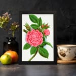 Infidu vintage wall art with blooming pink rose and green leaves in a classic black frame. displayed on the wall