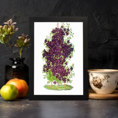Vintage floral wall art with purple blossoms, yellow centers, and green leaves on a white background. displayed on the wall