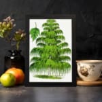 Infidu vintage wall art of a cascading green tree with detailed leaves on a white background. displayed on the wall