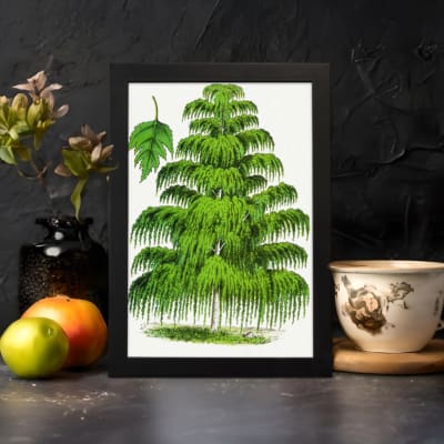 Infidu vintage wall art of a cascading green tree with detailed leaves on a white background. displayed on the wall