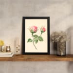 Infidu vintage wall art with two pink rosebuds and green leaves on a cream background in a black frame. displayed on the wall