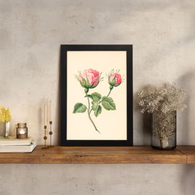 Infidu vintage wall art with two pink rosebuds and green leaves on a cream background in a black frame. displayed on the wall