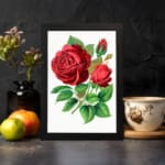 Vintage botanical wall art of red roses with green leaves on a white background by Infidu. displayed on the wall