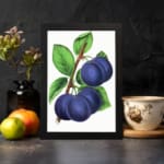 Vintage botanical art of ripe purple plums on a branch with green leaves on a white background. displayed on the wall