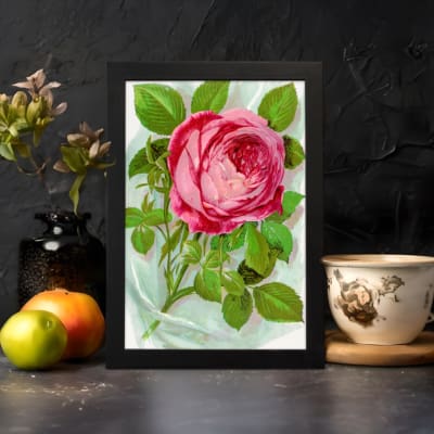 Infidu vintage wall art with a pink rose in full bloom and green leaves on a soft watercolor background. displayed on the wall