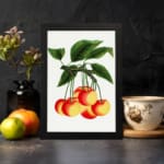 Vintage wall art of red and yellow cherries on a branch with green leaves in a black frame. displayed on the wall
