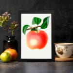 Vintage botanical wall art of a ripe peach with green leaves on a white background. displayed on the wall