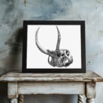 Black and white detailed vintage animal skull wall art with large curved horns on a white background. displayed on the wall