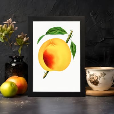 Ripe golden peach with green leaves on a white background, vintage wall art. displayed on the wall