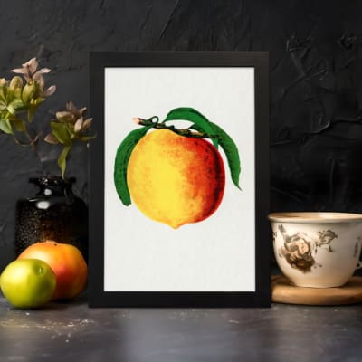 Vintage botanical wall art print of a ripe peach with green leaves on a white background. displayed on the wall