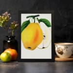 Vintage wall art of a yellow pear with a sliced half, green leaves, and a white background in a botanical illustration style. displayed on the wall