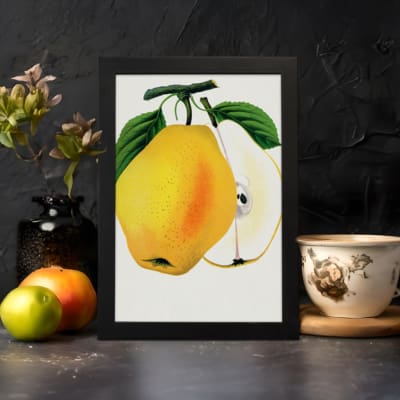 Vintage wall art of a yellow pear with a sliced half, green leaves, and a white background in a botanical illustration style. displayed on the wall