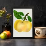 Vintage botanical wall art of a golden yellow fruit with green leaves on a white background. displayed on the wall