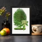 Vintage botanical wall art of a green plant with two distinct leaf types on a white background. displayed on the wall