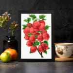 Vintage botanical wall art of red gooseberries and green leaves on a white background. displayed on the wall