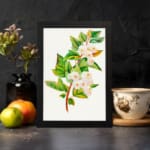 Vintage botanical wall art showing white flowers with pink petals and green leaves on a brownish-red stem against a white background. displayed on the wall