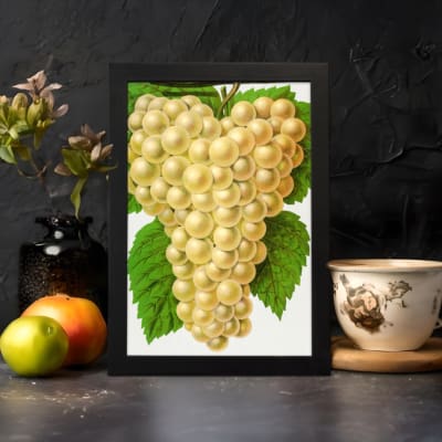 Vintage art of golden yellow grapes with green leaves on a white background. displayed on the wall