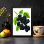 Infidu Vintage Dark Mulberries botanical wall art showing detailed purple-black mulberries with green leaves on a white background. displayed on the wall