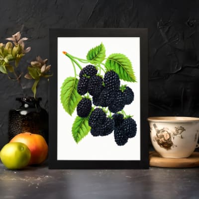 Infidu Vintage Dark Mulberries botanical wall art showing detailed purple-black mulberries with green leaves on a white background. displayed on the wall