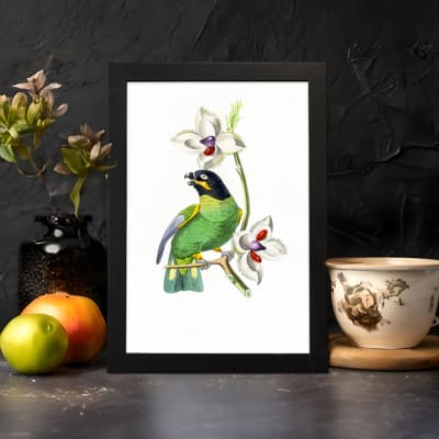 A green bird perched on a branch with white flowers, set on a white background and framed in black. displayed on the wall