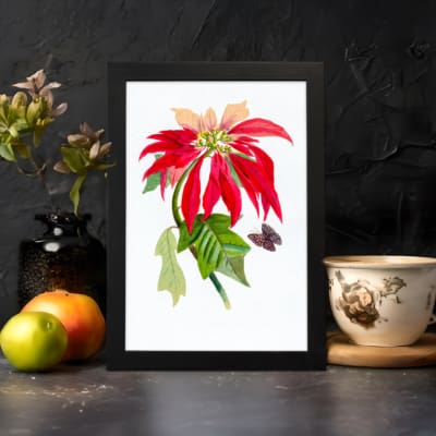 Vintage wall art print of a red flower with peach petals, green leaves, and a black and purple butterfly on a white background. displayed on the wall