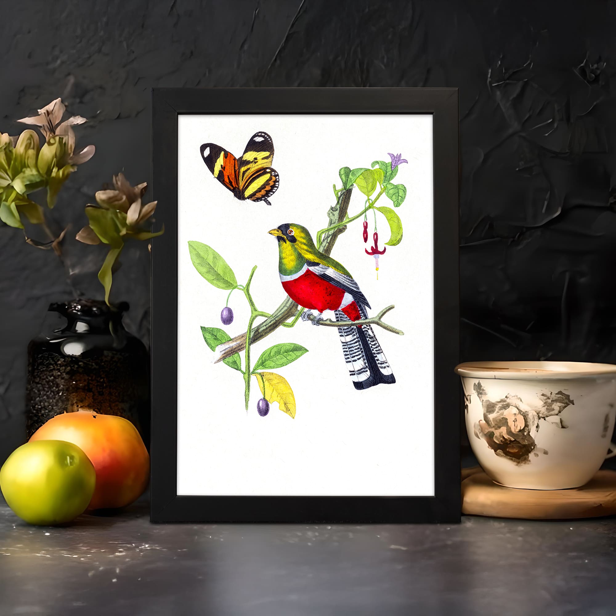 Colorful bird and butterfly on a leafy branch in vintage-style wall art with berries and a white background, framed in black. displayed on the wall