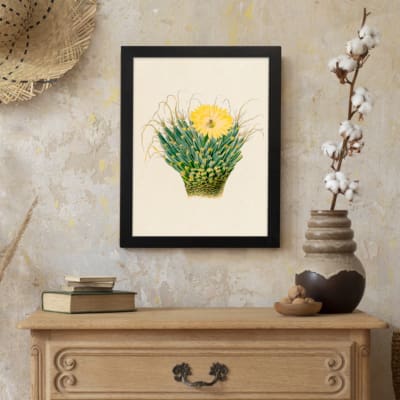 Infidu Vintage Cactus & Yellow Flower Wall Art showcasing a vibrant cactus plant with a yellow flower, framed in black. displayed on the wall
