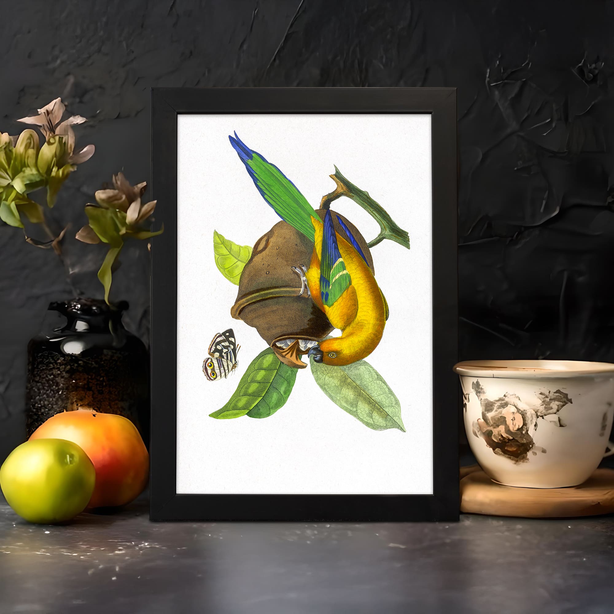 Vintage art print of a colorful tropical bird on a branch with green leaves and a white background. displayed on the wall
