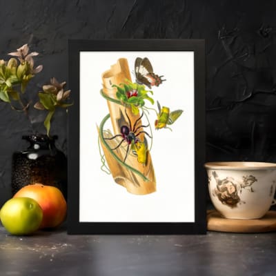 Vintage art featuring a wild nature-inspired scene with a spider, butterflies, and green leaves on a piece of bark, framed in black. displayed on the wall