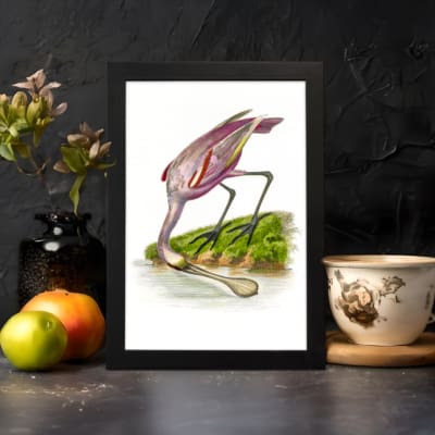 Pink bird bending near water with grass and earthy background in vintage style. displayed on the wall