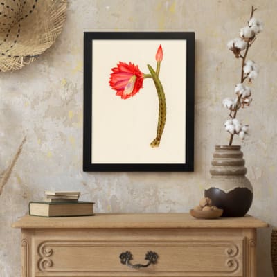 Vintage cactus flower wall art with a red bloom, pink bud, and green cactus stem on a light beige background, framed in black. displayed on the wall