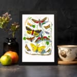 Vintage wall art featuring a collection of colorful butterflies and moths with intricate wing patterns, resting on leaves and twigs. displayed on the wall