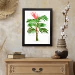 Vibrant palm plant with red growth on a clean white background, framed in black, showcasing tropical beauty and energy. displayed on the wall