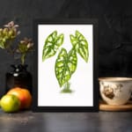 Vintage wall art of a small plant with five heart-shaped green leaves and white spots, framed in black on a plain white background. displayed on the wall