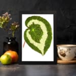 Green leaf with creamy white swirl pattern, detailed texture, on white background, framed in black – Infidu vintage botanical wall art. displayed on the wall