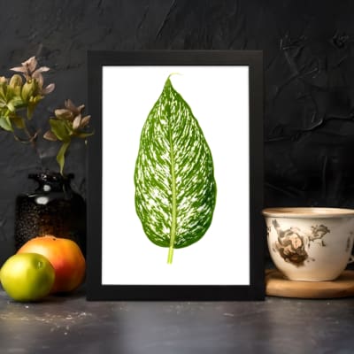 Vintage leaf wall art with a large green marbled leaf centered on a white background, framed in black displayed on the wall