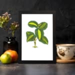 Vintage wall art of a small plant with green and yellow leaves, detailed design on a white background with a black frame. displayed on the wall