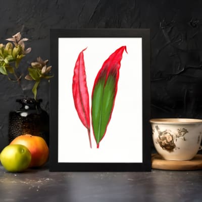 Vintage wall art of bold red and green tropical leaves in a black frame displayed on the wall