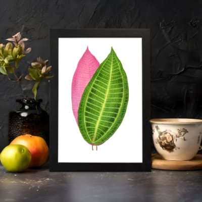 Vintage wall art featuring a green and pink leaf print with detailed veins and a white background. displayed on the wall
