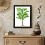 Vintage wall art of a tropical green palm plant with long leaves, set against a white background and framed in black. displayed on the wall