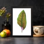 Vintage wall art of a green leaf with bright orange veins and a touch of purple at the base on a white background with a black frame. displayed on the wall