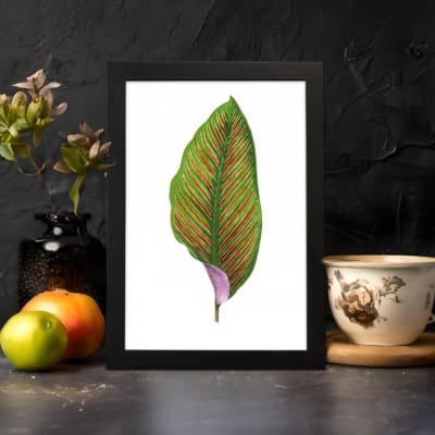 Vintage wall art of a green leaf with bright orange veins and a touch of purple at the base on a white background with a black frame. displayed on the wall