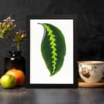 Vintage wall art showcasing a bold green leaf with a yellow-green zigzag pattern and purple edge, framed in black for an elegant finish. displayed on the wall
