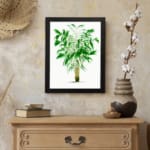Vintage wall art of a green leafy plant with narrow leaves in varying shades of green, framed in black for a modern touch. displayed on the wall